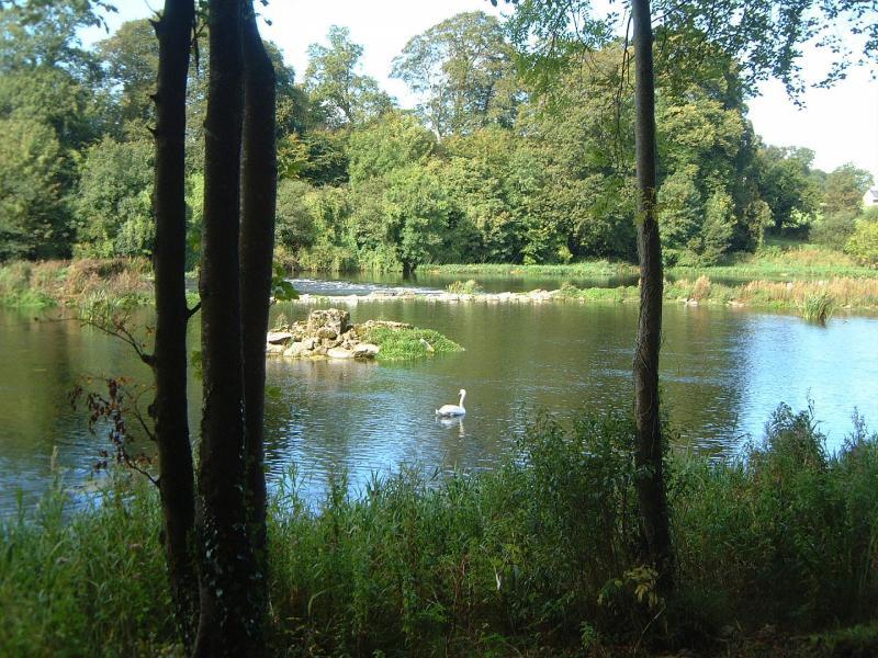 Castle Oaks House Hotel Castleconnell Luaran gambar